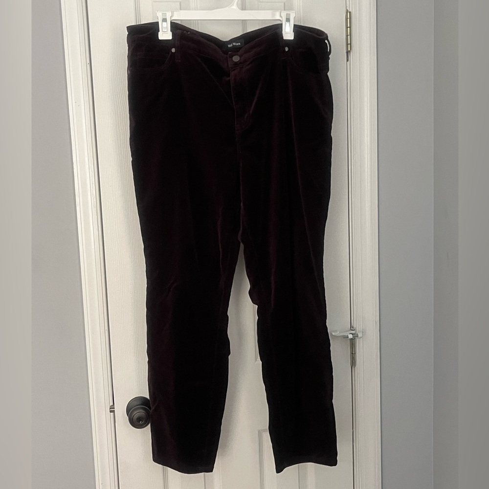 Burgundy Velvet Pants by Well Worn